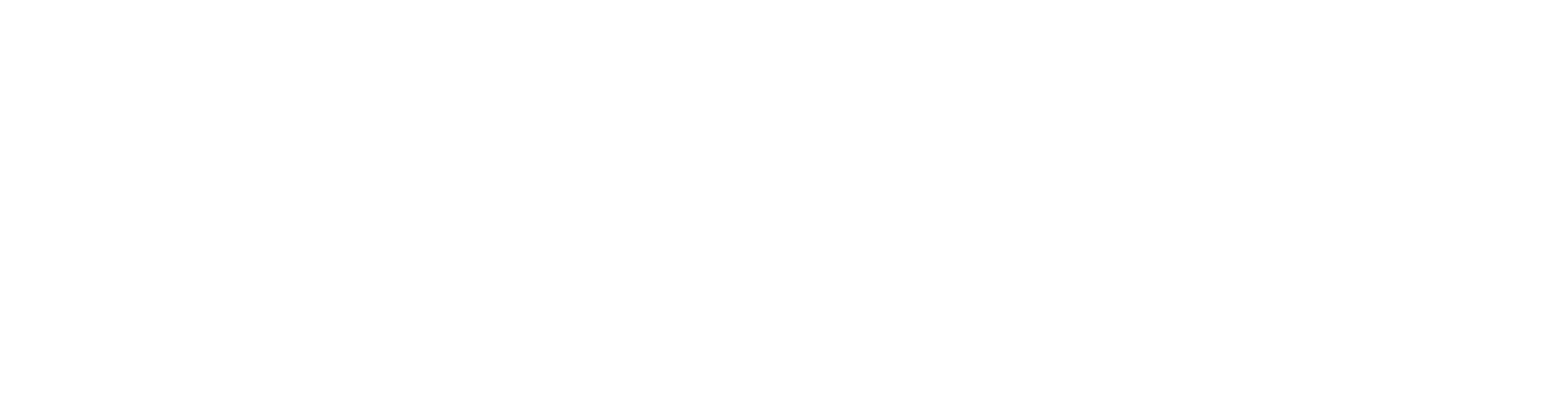light logo